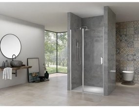 Van Rijn Products Nisdeur met vast deel 6 mm helder glas, incl. glasbehandeling, chroom beslag, inclusief dichtingen, deuren zijn omkeerbaar (870-890) x 2000 mm ST02LP30090