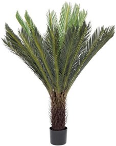Bizzotto | Kunst cycas palm Cyca