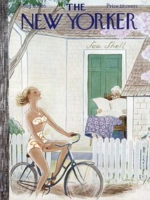 Ilustratie The NY Magazine Cover 430