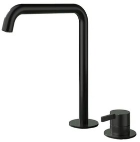 Hotbath Ace Wastafelmengkraan - hoog - opbouw - draaibare uitloop - 2gats - PVD - zwart geborsteld PVD AC023HMBP