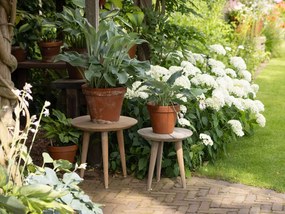 Bijzettafel tuin ROUGH | Rond  | Tuintafel Teakhout | Ø40cm | Kees Smit Tuinmeubelen