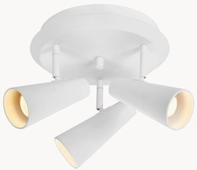 Plafondspot Crest van metaal