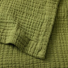 Plaid van tetra, Yafa