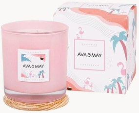 3-lonts geurkaars Bahamas (kokosnoot, monoi, vanille)