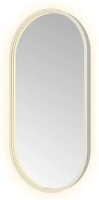 Hotbath &More Oval spiegel ovaal 40x80cm RVS