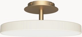 Dimbare LED plafondlamp Asteria, in verschillende formaten