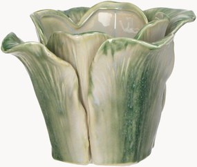 Plantenpot Cabbage
