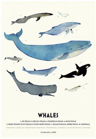 Ilustratie Whales, Erik Wintzell