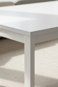 Tian Middentafel 120x60cm Wit