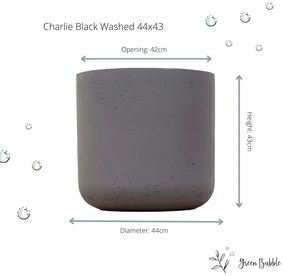 Pot Charlie Black Washed