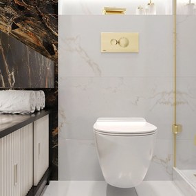 Hangende toilet Rea Carter Tornado