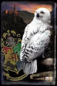 Kunstafdruk Harry Potter - Hedwig, (26.7 x 40 cm)