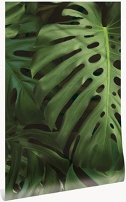 Non-woven wallpaper Monstera