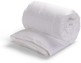 Dixxius Dekbed Down Feel 4 Seizoenen – Bij Swiss Sense