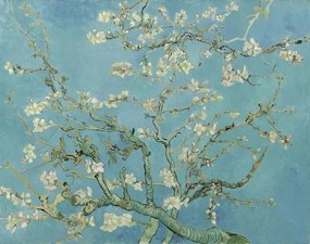 Vincent van Gogh - Kunstdruk Vincent van Gogh - Almond Blossoms, (40 x 30 cm)