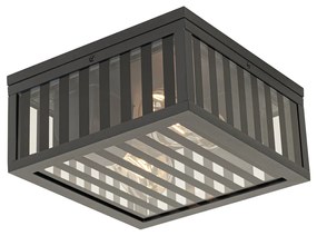 Moderne buiten plafondlamp zwart glas 2-lichts IP44 - Dijon Modern E27 IP44 Buitenverlichting vierkant