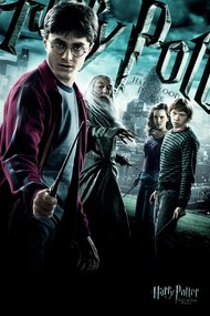 Kunstafdruk Harry Potter - De Halfbloed Prins