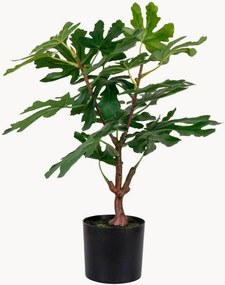 Kunstplant Fig