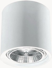 Wandlamp Roxa