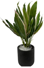 Cordyline Kunstplant - 30 cm