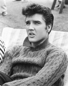 Foto Elvis Presley - Jailhouse Rock