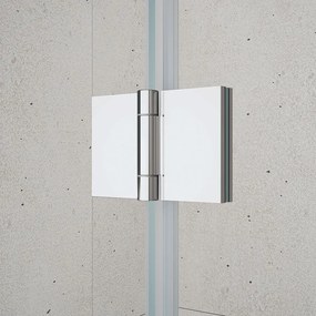 Gelco Loro douchecabine met vouwdeuren 70x90cm chroom