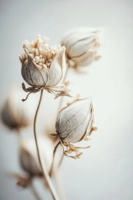 Foto Beige Felt Flowers, Treechild