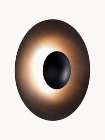 Dimbare LED wandlamp Ginger, verschillende formaten