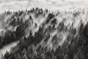 Kunstfotografie Sundance No.1, Davorin Baloh, (40 x 26.7 cm)