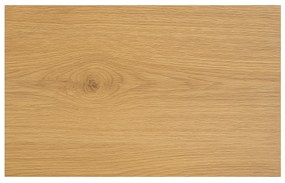 Sanicare Avenza/Arda toppaneel 100cm diveria oak