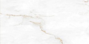 Mexen Brakel Wit geglazuurd gerectificeerd gres G1, vloer- en wandtegel 120 x 60 cm, glans - TL110-120-060-01