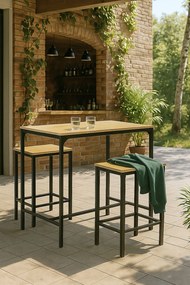 Schuur hoge tafel + 2 barkrukken set