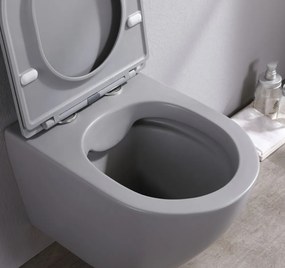 Saniclear Itsie mat grijze toiletpot randloos met softclose zitting