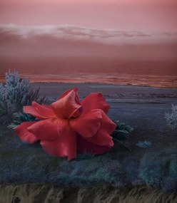 Kunstafdruk Surreal Giant flower rose, Vizerskaya, (35 x 40 cm)