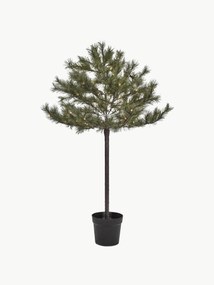 Kerstboom Peuce met LED verlichting en timerfunctie