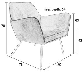 Lederen Retro Fauteuil Bruin