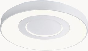 Dimbare LED plafondlamp Halyna