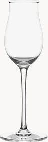 Mondgeblazen cognacglazen Q1, 6-delig