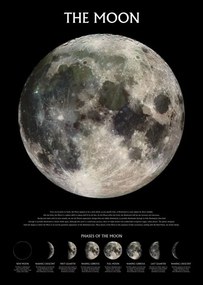Poster Maan