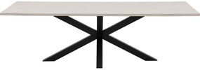 Goossens Eettafel Stone, Rechthoekig 250 x 110 cm