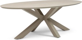 Dining Tuintafel ovaal 240 x 120 cm Taupe Lunea