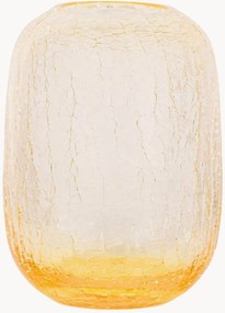 Mondgeblazen vaas Frosty