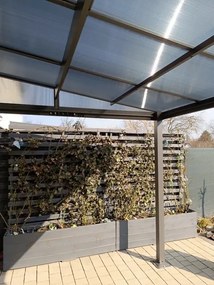 Aluminium terrasoverkapping 4 x 6 m Tarragona Garden Point antraciet