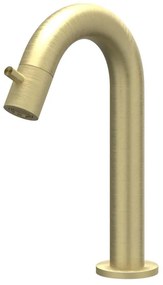 IVY Concord Fonteinkraan - gebogen - opbouw - laag - RVS316 - geborsteld mat goud PVD 6401062