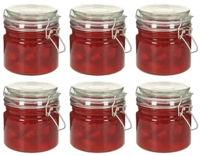 vidaXL Opbergpotten met klemsluiting 6 st 500 ml