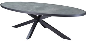 Ohio dining tuintafel ovaal 241x116xH74cm aluminium antraciet