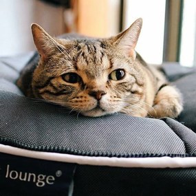 Ambient Lounge Kattenkussen Indoor/Outdoor