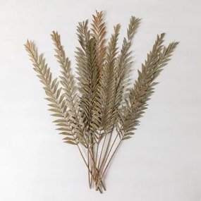Pak Van 10 Sarat Decoratieve Droge Takken Bamboe Groen - Sklum