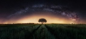 Foto Milky way over lonely tree, Ivan Ferrero