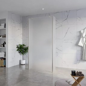 Fortifura Galeria Vrijstaande Inloopdouche - 100x200cm - Glas mat - antikalk - 8mm veiligheidsglas - 2 zijwanden 40cm - wandsteunen en hoekprofielen - Geborsteld RVS PVD (RVS) SW927769 2x/SW797927/SW797921 2x/SW798730 2x